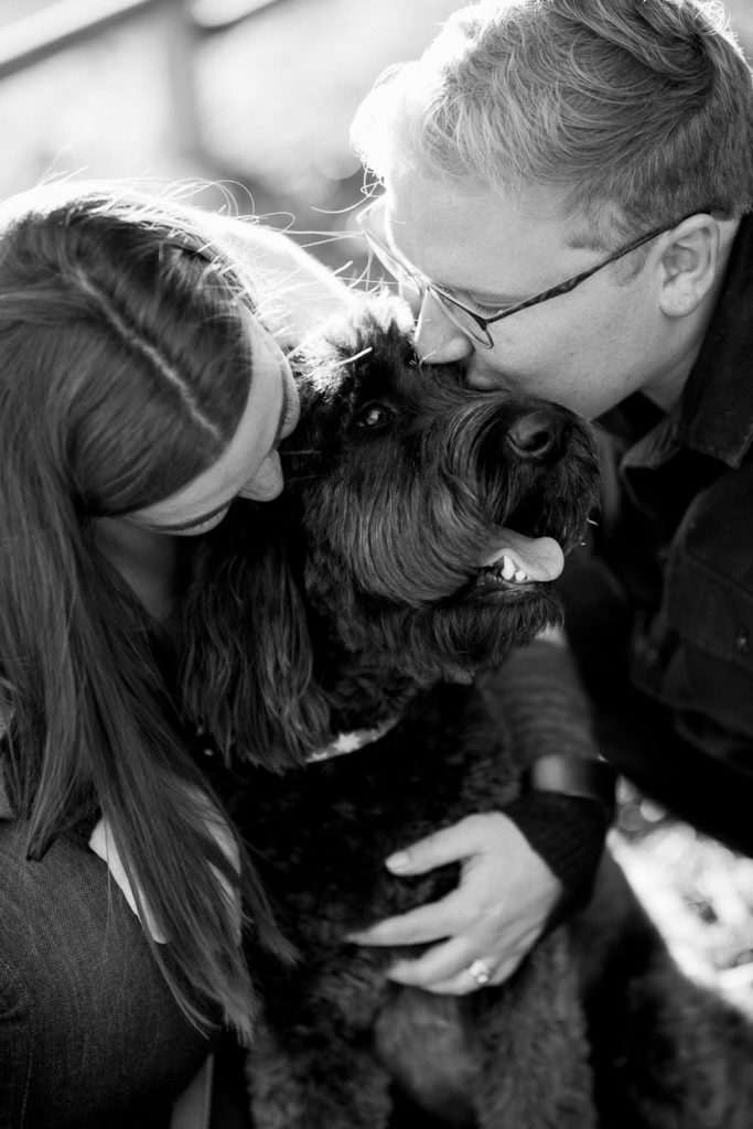A couple kissing their dark brown goldendoodle dog